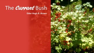 The Currant Bush
Elder Hugh B. Brown
 