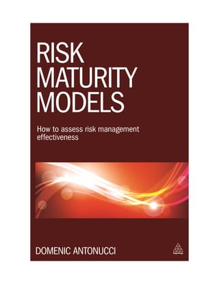 Cover for Risk Maturity Models 