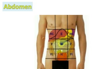 Resumen Abdominal