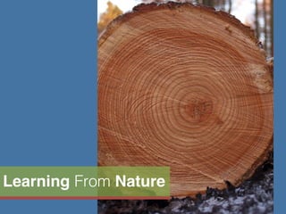 Learning From Nature