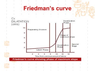 Friedman’s curve 
