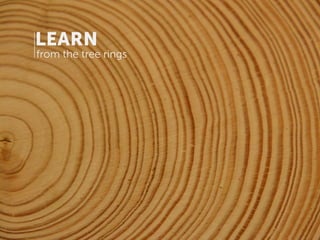 LEARN
from the tree rings
 