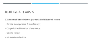 2. Anatomical abnormalities (10–15%) Cervicouterine factors
– Cervical incompetence & insufficiency
– Congenital malformation of the uterus
– Uterine Fibroid
– Intrauterine adhesions
BIOLOGICAL CAUSES
 
