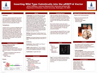 TEMPLATE DESIGN © 2008
www.PosterPresentations.com
Inserting Wild Type Calreticulin into the pRSET-A Vector
Ashia S Williams, Lystranne Maynard PhD, Akintunde Akinyemi MS.
Department of Chemistry, Howard University, Washington, DC 20001
Goal
The Purpose
In this study, ampicilin resistant mCRT was cloned in
order to understand the acetylation mechanism of
CRT outside the ER. To achieve this, wild type CRT
DNA was removed from a pGEM T-Easy vector and
placed into a the more useful pRSET-A vector.
The Significance
Calreticulin (CRT) is a conserved multifaceted protein
localized in the endoplasmic reticulum (ER) whose
roles inside the ER include calcium regulation and
protein folding inside cells. It has been shown that
acetylation, a post-translational modification, is the
mechanism by which CRT fulfills some of these roles
within the ER. Previous studies have localized CRT in
the endoplasmic reticulum however, recent studies
have found traces of this protein in liver, brain and
other cellular regions.
Background Information
Methods
Instrumentation
•Centrifuge
–DNA mini prep
•260nm UV/Vis Absorption of DNA
–260nm absorption of DNA
–260/280 is used to check for purity
–mCRT 99.1ng/uL
–pRSET-A 83.2ng/uL
•Incubator and Incubator Shaker
–Transformation and Overnights
•37 degree water bath
–digestion
Developing Protocol
Initially, the calreticulin DNA was cloned out of a
pGEX vector and attempted to be inserted directed
into pRSET-A vector using Ncol and BamH1 enzymes
in a simultaneous digestion. However, due to steric
hindrance, mCRT was unable to be inserted into the
vector.
Next, HindIII and BamH1 primers were used to
introduce these endonuclease sites to the ends of the
mCRT in pGEX and then insert the mCRT into a T-
vector in a sequential digestion. This step was
successfully completed.
It was concluded that inserting mCRT into a T-vector
would make it easier to extract the mCRT from the T-
vector and then insert it into a pRSET-A vector.
.
Results
Gel
pRSET-A
Small is the mCRT
Large T-vector
Excise
160mg mCRT
100mg pRSET-A
Medical Application Human Health and Disease
Conclusion
Acknowledgement
Absence of CRT is embryonically lethal
Presence of non-ER extracellular CRT
Rheumatoid Arthritis
Inflammatory bowel disease
Alzheimer Disease
Upon insertion of mCRT into the pRSET-A vector a
resistance to ampicilin is inherited therefore a
successful insertion will be indicated by the growth of
colonies in a LB-AMP environment.
Further Investigation
The resulting DNA can be further confirmed via DNA
sequencing. To develop a computational model of a
novel receptor, a controlled study will be performed on
wild type and mutant CRT to examine the role
acetylation may play in the exit of CRT from the ER
Discovery of Calreticulin (CRT)
•1974 Skeletal Muscle cells
•Thomas Ostwald and David MacLennan
•Conserved protein that assist in protein chaperoning
and calcium regulation in the endoplasmic reticulum
(ER).
–A network of membranous tubules within the
cytoplasm of a eukaryotic cell
•Other names
–HABP, Calregulin
OPTIONAL
LOGO HERE
OPTIONAL
LOGO HERE
Structure
pRSET-A
T-vector
mCRT
DNA ladder
Lystranne Maynard, PhD
Akintunde Akinyemi, MS
Ronald E. McNair Program
Howard University-Funding
Department of Biology
Department of Chemistry
Winston Anderson PhD, Biology
 