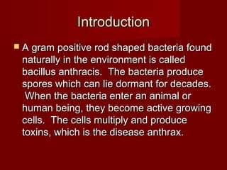IntroductionIntroduction
 A gram positive rod shaped bacteria foundA gram positive rod shaped bacteria found
naturally in the environment is callednaturally in the environment is called
bacillus anthracis. The bacteria producebacillus anthracis. The bacteria produce
spores which can lie dormant for decades.spores which can lie dormant for decades.
When the bacteria enter an animal orWhen the bacteria enter an animal or
human being, they become active growinghuman being, they become active growing
cells. The cells multiply and producecells. The cells multiply and produce
toxins, which is the disease anthrax.toxins, which is the disease anthrax.
 