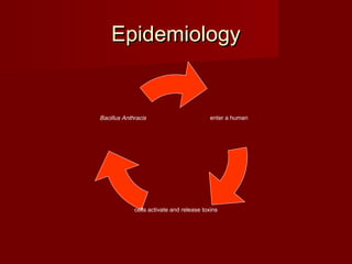 EpidemiologyEpidemiology
enter a human
cells activate and release toxins
Bacillus Anthracis
 