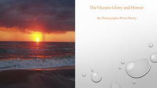 The Oceans Glory and Horror
By Photographer Brian Skerry
 