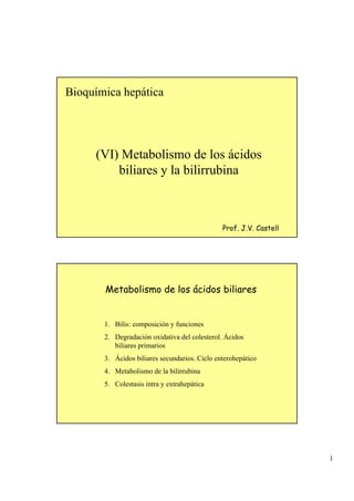 1
Bioquímica hepática
(VI) Metabolismo de los ácidos
biliares y la bilirrubina
Prof. J.V. Castell
Metabolismo de los ácidos biliares
1. Bilis: composición y funciones
2. Degradación oxidativa del colesterol. Ácidos
biliares primarios
3. Ácidos biliares secundarios. Ciclo enterohepático
4. Metabolismo de la bilirrubina
5. Colestasis intra y extrahepática
 