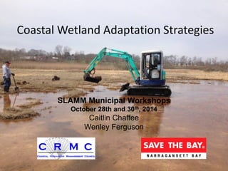 Coastal Wetland Adaptation Strategies
SLAMM Municipal Workshops
October 28th and 30th, 2014
Caitlin Chaffee
Wenley Ferguson
 