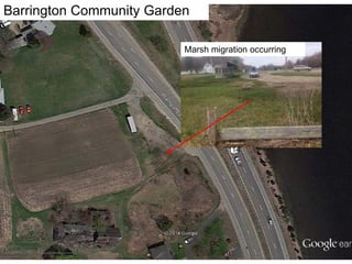 Barrington Community Garden
Marsh migration occurring
 