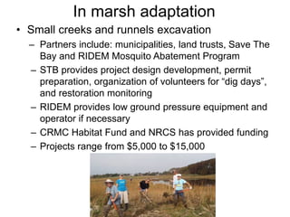In marsh adaptation
• Small creeks and runnels excavation
– Partners include: municipalities, land trusts, Save The
Bay and RIDEM Mosquito Abatement Program
– STB provides project design development, permit
preparation, organization of volunteers for “dig days”,
and restoration monitoring
– RIDEM provides low ground pressure equipment and
operator if necessary
– CRMC Habitat Fund and NRCS has provided funding
– Projects range from $5,000 to $15,000
 