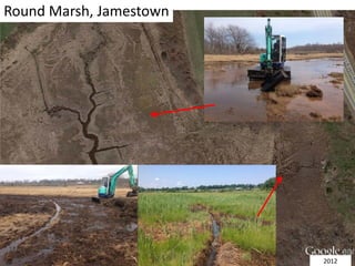 Round Marsh, Jamestown
2012
 