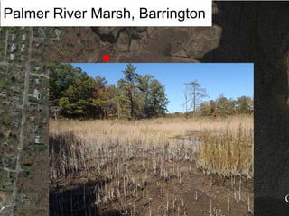 Palmer River Marsh, Barrington
 
