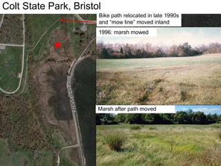 Colt State Park, Bristol
Marsh after path moved
1996: marsh mowed
Bike path relocated in late 1990s
and “mow line” moved inland
 