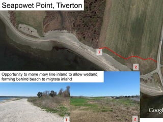 1
2
Opportunity to move mow line inland to allow wetland
forming behind beach to migrate inland
Seapowet Point, Tiverton
1
2
 