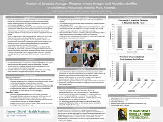 Analysis of Zoonotic Pathogen Presence among Humans and Mountain Gorillas
in and around Volcanoes National Park, Rwanda
Gabriel Andrle1; Jessica Deere2; Fallon Frappier3; Tyrell Kahan3; Tanya Witlen3
1Department of Environmental Sciences, Emory College of Arts and Sciences; 2Environmental Health, Rollins School of Public Health; 3Master’s in Development Practice, Laney Graduate School
• Human population growth causes more frequent interactions between
humans and non-human primates. As a result, non-human primate
habitats are decreasing and the potential exposure to zoonotic and
anthroponotic pathogens is increasing.
• Volcanoes National Park in Rwanda is an ideal ecosystem to investigate the
consequences of the interactions between humans and mountain gorillas
(Gorilla beringei beringei) because of the increasingly dense human
population that lives in close proximity to critically endangered mountain
gorillas.
• There are approximately 480 mountain gorillas remaining in the Virunga
Massif, which includes parks spanning Rwanda, Uganda, and the
Democratic Republic of Congo. The genomic similarities between non-
human primates and humans provide the opportunity for diseases to be
introduced into the mountain gorilla population that could hamper
conservation efforts and threaten their survival.
• Bisate primary and secondary schools border Volcanoes National Park.
Knowledge on proper water, sanitation, and hygiene (WASH) practices is
important for disease prevention. Storytelling among children can provide
a holistic understanding of local experiences that can lead to improved
culturally specific and need-based WASH services to the population of
Bisate.
Background
Objectives
• Awaiting Rwandan governmental approval to collect fecal samples from
humans.
• 100 mountain gorilla fecal samples were processed and analyzed between
May and August 2015.
• A University of Rwanda student, 3 Karisoke Research Center interns, and a
laboratory technician from the Bisate Clinic were trained in fecal sample
collection, sample preservation, and laboratory processing.
• DNA extraction from samples is currently underway in the Gillespie Global
Health and Biodiversity Conservation Lab at Emory University.
• Collected 89 story submissions and translated 18 finalist stories picked by a
jury of Bisate school teachers for analysis.
Progress to Date
• Potentially pathogenic and zoonotic parasites, Necator sp.,
Oesophagostomum sp., and Trichostrongylus sp., were identified.
• A laboratory manual was created to support the on-going and future
research of parasites affecting humans and mountain gorillas.
• Results will inform conservation efforts for mountain gorillas and the
development efforts for humans in the area.
• The story contest revealed that students are generally aware of the
importance of WASH, but there are still barriers, such as the belief in
witchcraft, holding families back.
• Dian Fossey Gorilla Fund International Karisoke Research Center
• Rwanda Development Board
• University of Rwanda
• Gillespie Global Health and Biodiversity Conservation Lab
• Emory Global Health Institute
Project Partners
• To determine if humans and mountain gorillas co-habiting the area in and
around Volcanoes National Park share the same enteric pathogens
• To train University of Rwanda students and Karisoke Research Center
interns on parasite identification techniques
• To better understand knowledge, attitudes, and practices surrounding
water, sanitation, and hygiene among youth in Bisate, Rwanda
Preliminary Findings
Methodology
Pathogen Identification
• Non-invasively collected fresh fecal samples from mountain gorillas
• Processed samples both for immediate in-country microscopic analysis
and for future molecular analysis at Emory University
• Conducted a modified sedimentation method to identify parasite eggs
• Cultured L3 larvae to identify the genus of intestinal parasites present
• Employ molecular analysis to determine if humans and mountain
gorillas share the same species of enteric pathogens
WASH Story Contest
• Recruited student participation in a story contest to illustrate
knowledge, attitudes, and practices regarding WASH practices and
provided necessary supplies and support to submit a story
• Conducted a quantitative analysis with coding methods to determine
common themes and gaps in student knowledge
• Analysis informed DFGFI WASH curricula in Bisate schools to improve
knowledge dissemination on the topic
Next Steps
• Larvae identification will be reconfirmed and molecular analyses will be
provided by Dr. Gillespie’s collaborator, Dr. David Modry at the University of
Veterinary and Pharmaceutical Sciences in Brno, Czech Republic
• Samples will be screened for other enteric diseases of anthroponotic
interests, such as Giardia and Entamoeba histolytica
• Secure funding to generate radio pieces using student stories as inspiration
• Community mapping and interviews to supplement information gathered
from student stories
Implications
We would like to thank the following for making this project possible:
our Emory mentors Drs. Thomas Gillespie, David Nugent, and Christine Moe; our
field mentors Drs. Winnie Eckardt and Tara Stoinski, Ildephonse Munyarugero, Felix
Ndagijimana, and the rest of the DFGFI Karisoke Research Center staff; Rwandan
students Alexandre Gategeko, Epiphanie Dusabe, Yvonne Muhizi, and Anne
Nyiransabimana; and Emory students Giselle De La Torre, Morika Hensley, Sahana
Kuthyar, and Leo Ragazzo.
Acknowledgements
 