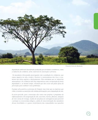 43
degradação ambiental desenfreada produzida por atividades econômicas, como
a indústria de cerâmica, areal, material de construção e ferrovia.
Os moradores têm grande preocupação com a produção de cerâmicas, que
causa impacto no solo, erosão e favorece o assoreamento dos rios e o au-
mento das áreas sujeitas a deslizamentos. Eles entendem que as indústrias
mineradoras e de cerâmicas não têm compromisso com a recuperação de áreas
degradadas e, ao mesmo tempo, afirmam que não existe um plano eficaz de
prevenção para combater esses problemas.
O grupo acha positiva a presença do Comperj, mas teme que as empresas que
virão se instalar no município não tenham preocupação com a degradação do solo.
O receio procede, pois o município não conta com projetos e programas de
reflorestamento e de recuperação do solo, nascentes, morros, florestas, margens
de rios e áreas de recarga. A falta de um plano de contingência para prevenir
e proteger os ecossistemas frágeis, a falta de conscientização dos moradores
dessas localidades e o pouco envolvimento das comunidades nas questões
Vista da Serra do Barbosão
 