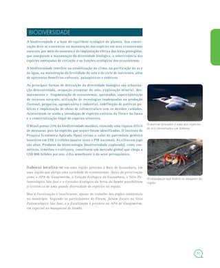 5151
BIODIVERSIDADE
A biodiversidade é a base do equilíbrio ecológico do planeta. Sua conser-
vação deve se concentrar na manutenção das espécies em seus ecossistemas
naturais, por meio do aumento e da implantação efetiva das áreas protegidas,
que asseguram a manutenção da diversidade biológica, a sobrevivência das
espécies ameaçadas de extinção e as funções ecológicas dos ecossistemas.
A biodiversidade interfere na estabilização do clima, na purificação do ar e
da água, na manutenção da fertilidade do solo e do ciclo de nutrientes, além
de apresentar benefícios culturais, paisagísticos e estéticos.
As principais formas de destruição da diversidade biológica são urbaniza-
ção descontrolada, ocupação irregular do solo, exploração mineral, des-
matamentos e fragmentação de ecossistemas, queimadas, superexploração
de recursos naturais, utilização de tecnologias inadequadas na produção
florestal, pesqueira, agropecuária e industrial, indefinição de políticas pú-
blicas e implantação de obras de infraestrutura sem os devidos cuidados.
Acrescentam-se ainda a introdução de espécies exóticas da flora e da fauna
e a comercialização ilegal de espécies silvestres.
O Brasil possui 25% da biodiversidade mundial, reunindo uma riqueza difícil
de mensurar, pois há espécies que sequer foram identificadas. O Instituto de
Pesquisa Econômica Aplicada (Ipea) estima o valor do patrimônio genético
brasileiro em US$ 2 trilhões (quatro vezes o PIB nacional). As cifras em jogo
são altas. Produtos da biotecnologia (biodiversidade explorada), como cos-
méticos, remédios e cultivares, constituem um mercado global que chega a
US$ 800 bilhões por ano, cifra semelhante à do setor petroquímico.
Itaboraí localiza-se em uma região próxima à Baía de Guanabara, em
uma região que abriga uma variedade de ecossistemas. Áreas de preservação
como a APA de Guapimirim, a Estação Ecológica da Guanabara, o Sítio Pa-
leontológico São José e o Corredor Ecológico da Serra do Sambê possibilitam
a existência de uma grande diversidade de espécies na região.
Mas a fiscalização é insuficiente, apesar do trabalho dos órgãos ambientais
no município. Segundo os participantes do Fórum, faltam fiscais no Sítio
Paleontológico São José, e a fiscalização é precária na APA de Guapimirim,
em especial no manguezal de Itambi.
O martim-pescador é uma das espécies
de ave encontradas em Itaboraí
O caranguejo-uçá habita os mangues da
região
 