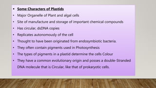  Some Characters of Plastids
• Major Organelle of Plant and algal cells
• Site of manufacture and storage of important chemical compounds
• Has circular, dsDNA copies
• Replicates autonomously of the cell
• Thought to have been originated from endosymbiotic bacteria.
• They often contain pigments used in Photosynthesis
• The types of pigments in a plastid determine the cells Colour
• They have a common evolutionary origin and posses a double-Stranded
DNA molecule that is Circular, like that of prokaryotic cells.
 