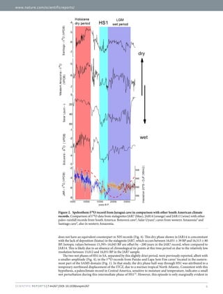 www.nature.com/scientificreports/
4Scientific Reports | 7:44267 | DOI: 10.1038/srep44267
does not have an equivalent counterpart in NH records (Fig. 4). This dry phase shown in JAR14 is concomitant
with the lack of deposition (hiatus) in the stalagmite JAR7, which occurs between 16,051 ±​ 39 BP and 16,513 ±​ 80
BP. Isotopic values between 15,395–16,045 BP are offset by ~200 years in the JAR7 record, when compared to
JAR14. This is likely due to an absence of chronological tie-points at this time period or due to the relatively low
resolution between 15,012 and 16,051 BP in the JAR7 sample.
The two wet phases of HS1 in SA, separated by this slightly drier period, were previously reported, albeit with
a smaller amplitude (Fig. 4), in the δ​18
O records from Paixão and Lapa Sem Fim caves7
located in the eastern-
most part of the SAMS domain (Fig. 1). In that study, the dry phase half-way through HS1 was attributed to a
temporary northward displacement of the ITCZ, due to a warmer tropical North Atlantic. Consistent with this
hypothesis, a paleoclimate record in Central America, sensitive to moisture and temperature, indicates a small
wet perturbation during this intermediate phase of HS125
. However, this episode is only marginally evident in
Figure 2.  Speleothem δ18
O record from Jaraguá cave in comparison with other South American climate
records. Comparison of δ​18
O data from stalagmites JAR7 (blue), JAR14 (orange) and JAR13 (wine) with other
paleo-rainfall records from South America: Botuverá cave2
; Salar Uyuni1
; caves from western Amazonia5
and
Santiago cave4
, also in western Amazonia.
 