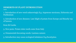 DEMERITS OF PLANT INTRODUCTION
1. Introduction of new weed unknowingly.E.g. Argemone mexicana, Eichornia and
Parthenium
2. Introduction of new diseases: Late blight of potato from Europe and Bunchy top
of banana
from Sri Lanka
3. New pests: Potato tuber moth came from Italy
4. Ornamentals becoming weeds: Lantana camara
5. Introduction may cause ecological imbalance E.g.Eucalyptus.
 