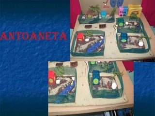 ANTOANETA 