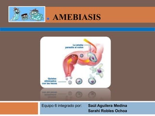 AMEBIASIS




Equipo 6 integrado por:   Saúl Aguilera Medina
                          Sarahi Robles Ochoa
 