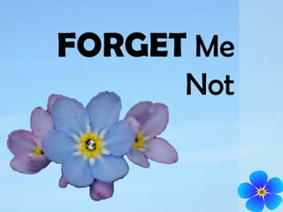 FORGET Me
Not
 