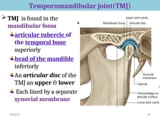 6 deep know of head structure for .ppt