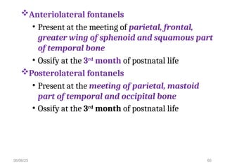 6 deep know of head structure for .ppt