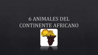 6 animales del continente africano