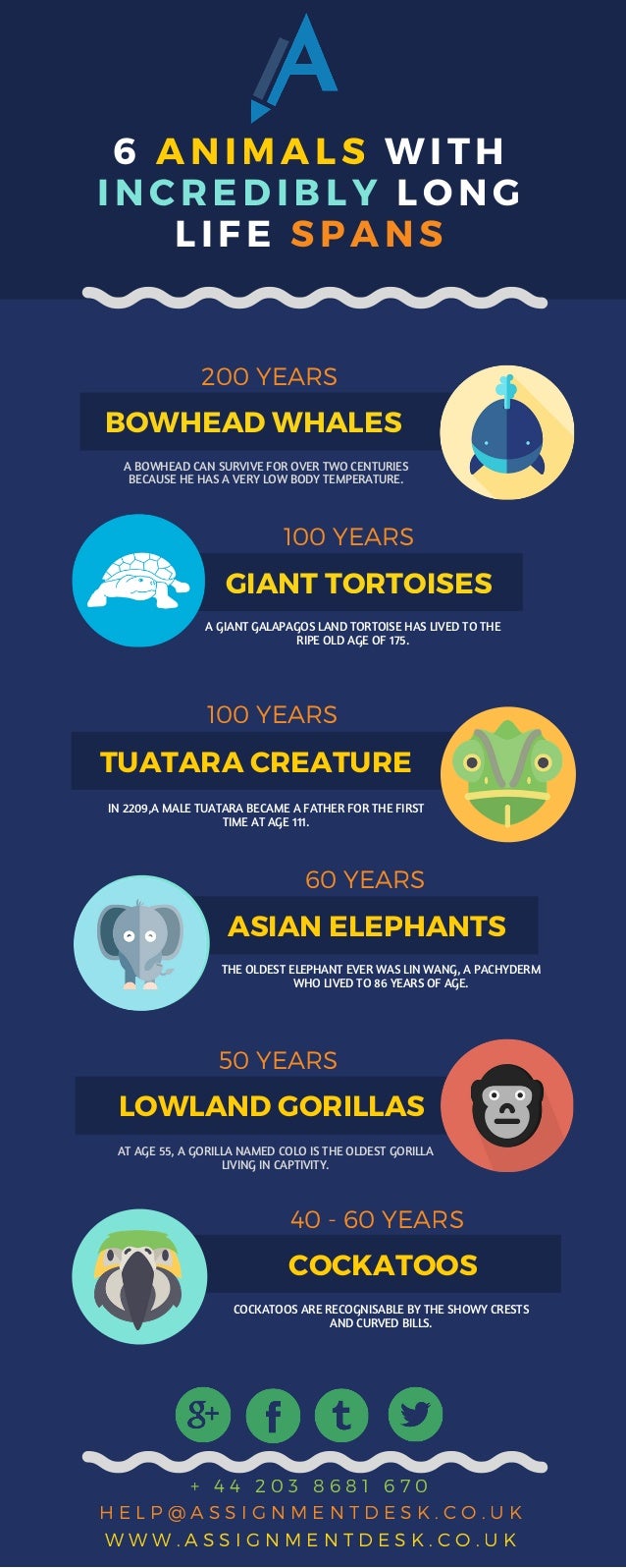 6 Animals that Live Long Lives