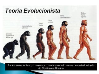 Para o evolucionismo, o homem e o macaco vem do mesmo ancestral, oriundo
do Continente Africano
 