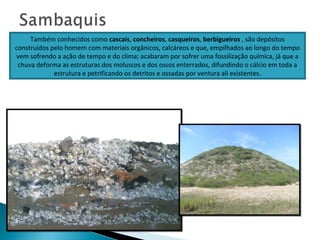 Também conhecidos como cascais, concheiros, casqueiros, berbigueiros , são depósitos
construídos pelo homem com materiais orgânicos, calcáreos e que, empilhados ao longo do tempo
vem sofrendo a ação de tempo e do clima; acabaram por sofrer uma fossilização química, já que a
chuva deforma as estruturas dos moluscos e dos ossos enterrados, difundindo o cálcio em toda a
estrutura e petrificando os detritos e ossadas por ventura ali existentes.
 
