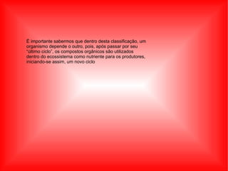 É importante sabermos que dentro desta classificação, um organismo depende o outro, pois, após passar por seu “último ciclo”, os compostos orgânicos são utilizados dentro do ecossistema como nutriente para os produtores, iniciando-se assim, um novo ciclo 