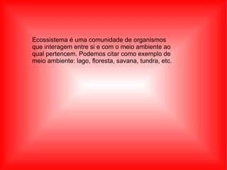 Ecossistema é uma comunidade de organismos que interagem entre si e com o meio ambiente ao qual pertencem. Podemos citar como exemplo de meio ambiente: lago, floresta, savana, tundra, etc.  