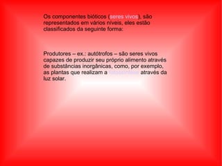 Os componentes bióticos ( seres vivos ), são representados em vários níveis, eles estão classificados da seguinte forma: Produtores – ex.: autótrofos – são seres vivos capazes de produzir seu próprio alimento através de substâncias inorgânicas, como, por exemplo, as plantas que realizam a  fotossíntese  através da luz solar. 