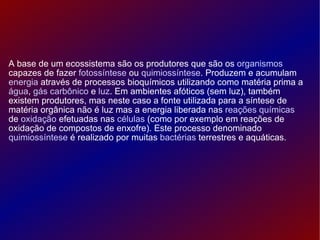 A base de um ecossistema são os produtores que são os  organismos  capazes de fazer  fotossíntese  ou  quimiossíntese . Produzem e acumulam  energia  através de processos bioquímicos utilizando como matéria prima a  água ,  gás carbônico  e  luz . Em ambientes afóticos (sem luz), também existem produtores, mas neste caso a fonte utilizada para a síntese de matéria orgânica não é luz mas a energia liberada nas  reações químicas  de  oxidação  efetuadas nas  células  (como por exemplo em reações de oxidação de compostos de enxofre). Este processo denominado  quimiossíntese  é realizado por muitas  bactérias  terrestres e aquáticas. 