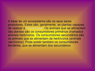 A base de um ecossistema são os seus seres produtores. Estes são, geralmente, as plantas capazes de realizar a  fotossíntese . Os animais que se alimentam das plantas são os consumidores primários chamados animais herbívoros. Os consumidores secundários são os animais que se alimentam de herbívoros (animais carnívoros). Pode existir também os consumidores terciários, que se alimentam dos secundários. 