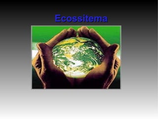 Ecossitema 