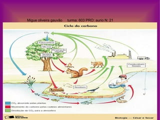 Migue oliveira gauvão  turma: 603 PRO: aurio N: 21 