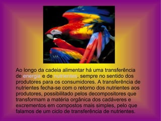 Ao longo da cadeia alimentar há uma transferência de  energia  e de  nutrientes , sempre no sentido dos produtores para os consumidores. A transferência de nutrientes fecha-se com o retorno dos nutrientes aos produtores, possibilitado pelos decompositores que transformam a matéria orgânica dos cadáveres e excrementos em compostos mais simples, pelo que falamos de um ciclo de transferência de nutrientes. 
