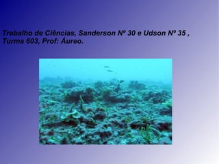 Trabalho de Ciências, Sanderson Nº 30 e Udson Nº 35 , Turma 603, Prof: Áureo. 