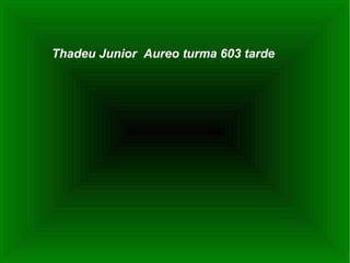 Thadeu Junior  Aureo turma 603 tarde  