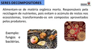 Alimentam-se de matéria orgânica morta. Responsáveis pela
reciclagem de nutrientes, pois evitam o acúmulo de restos nos
ecossistemas, transformando-os em compostos aproveitados
pelos produtores.
SERES DECOMPOSITORES
Exemplo:
fungos e
bactérias.
 