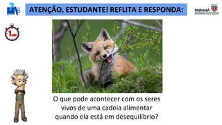 O que pode acontecer com os seres
vivos de uma cadeia alimentar
quando ela está em desequilíbrio?
ATENÇÃO, ESTUDANTE! REFLITA E RESPONDA:
 