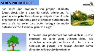 São seres que produzem seu próprio alimento
(autótrofos), são a base da cadeia alimentar. As
plantas e os plânctons são os principais exemplos de
organismos produtores, pois utilizam os nutrientes do
solo e da luz solar para obter energia de modo
autossuficiente. Exemplo: plantas e algas
SERES PRODUTORES
A maioria dos produtores faz fotossíntese. Nesse
processo, os seres vivos utilizam água, gás
carbônico e energia luminosa do Sol para a
produção da glicose, um açúcar utilizado como
alimento, e liberação do oxigênio.
 
