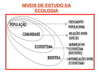 NÍVEIS DE ESTUDO DA
ECOLOGIA
 