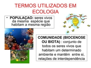 TERMOS UTILIZADOS EM
ECOLOGIA
• POPULAÇAO: seres vivos
da mesma espécie que
habitam a mesma região
COMUNIDADE (BIOCENOSE
OU BIOTA) : conjunto de
todos os seres vivos que
habitam um determinado
ambiente e mantêm entre si,
relações de interdependência
 