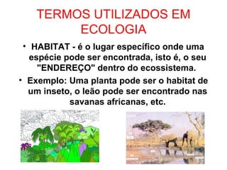 TERMOS UTILIZADOS EM
ECOLOGIA
• HABITAT - é o lugar específico onde uma
espécie pode ser encontrada, isto é, o seu
"ENDEREÇO" dentro do ecossistema.
• Exemplo: Uma planta pode ser o habitat de
um inseto, o leão pode ser encontrado nas
savanas africanas, etc.
 